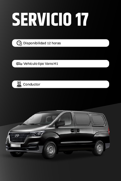 Servicio 17